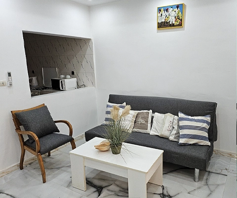 Coin salon : canapé gris, fauteuil en bois et ouverture vers une kitchenette
